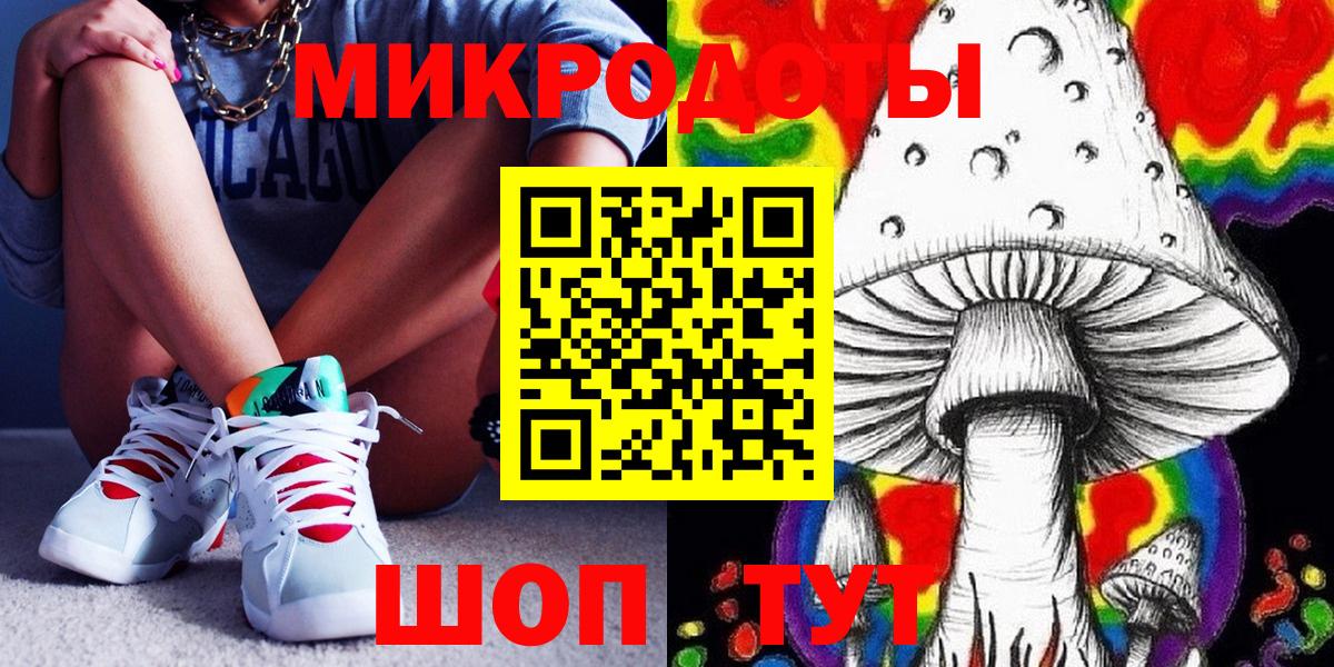 Елизово  Галлюциногенные грибы мицелий  Псилоцибиновые грибы мухоморы  Вход с VPN 